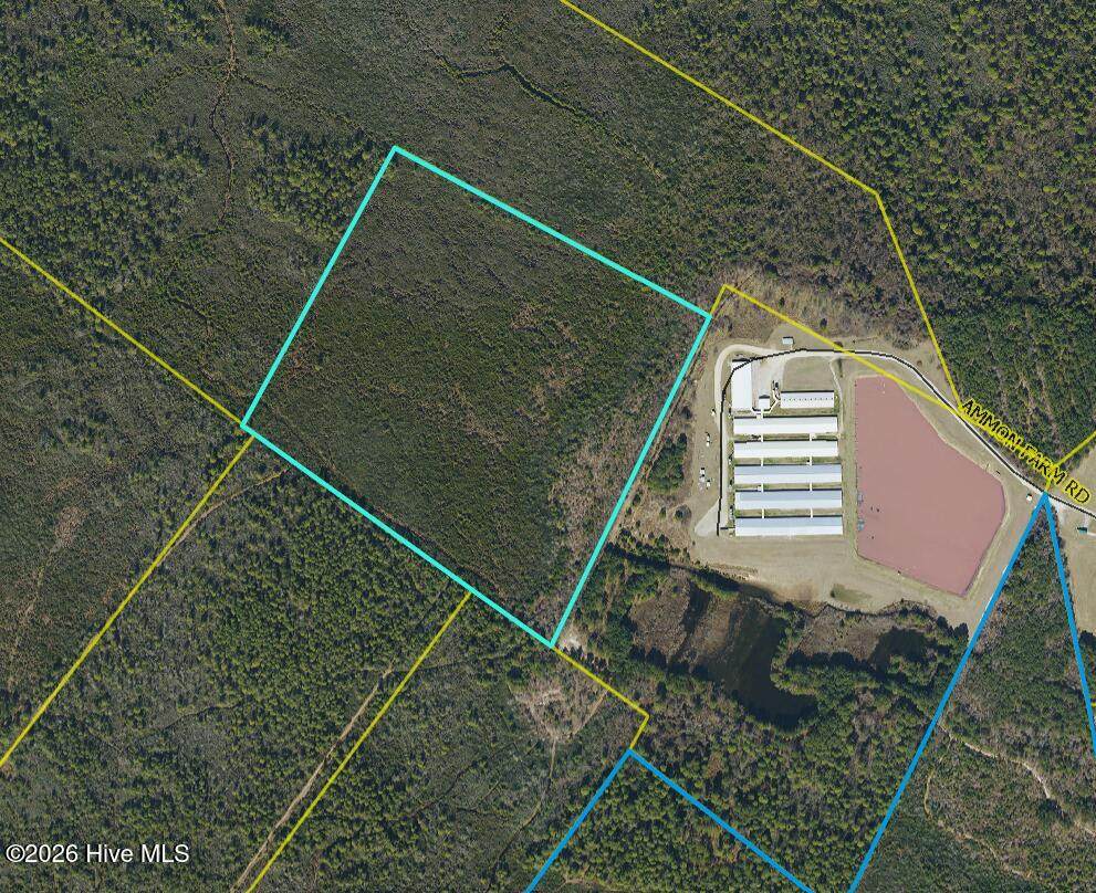 44 Acres Nance-Coble Tract Road - Photo 1