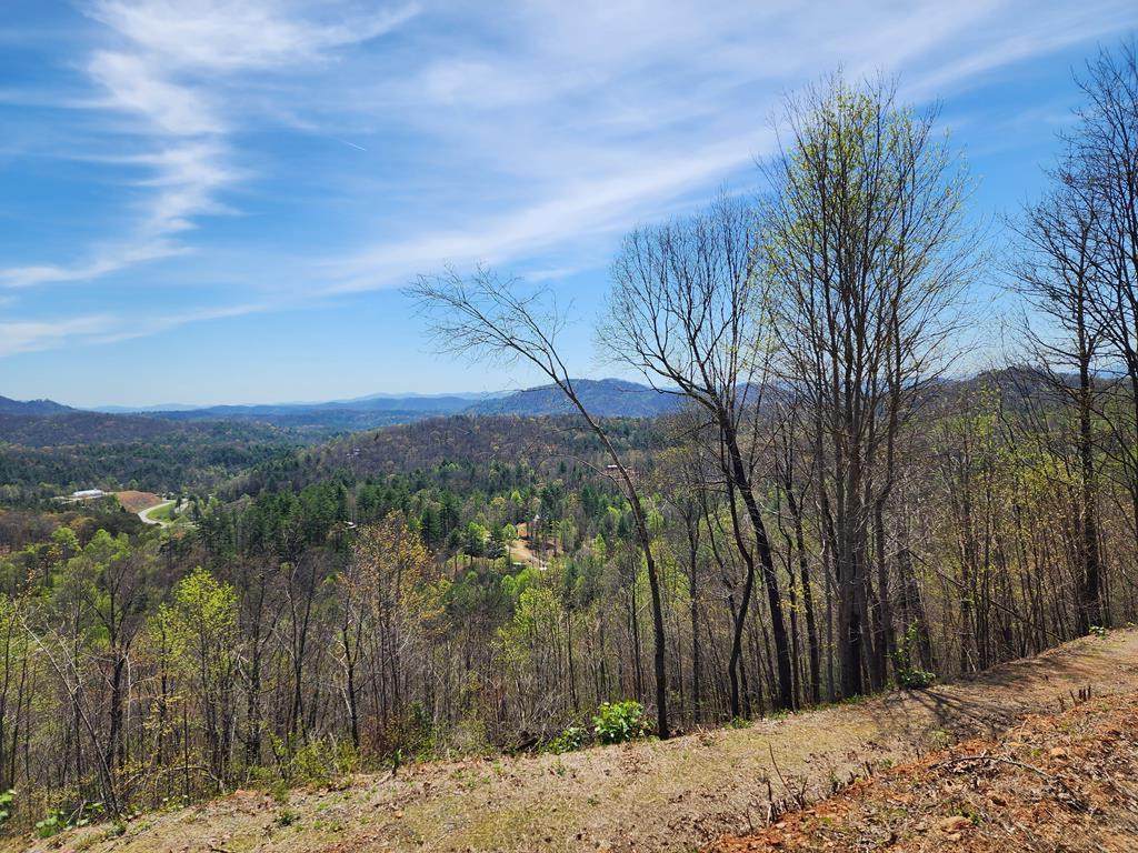 674 Warbler Road - Photo 1