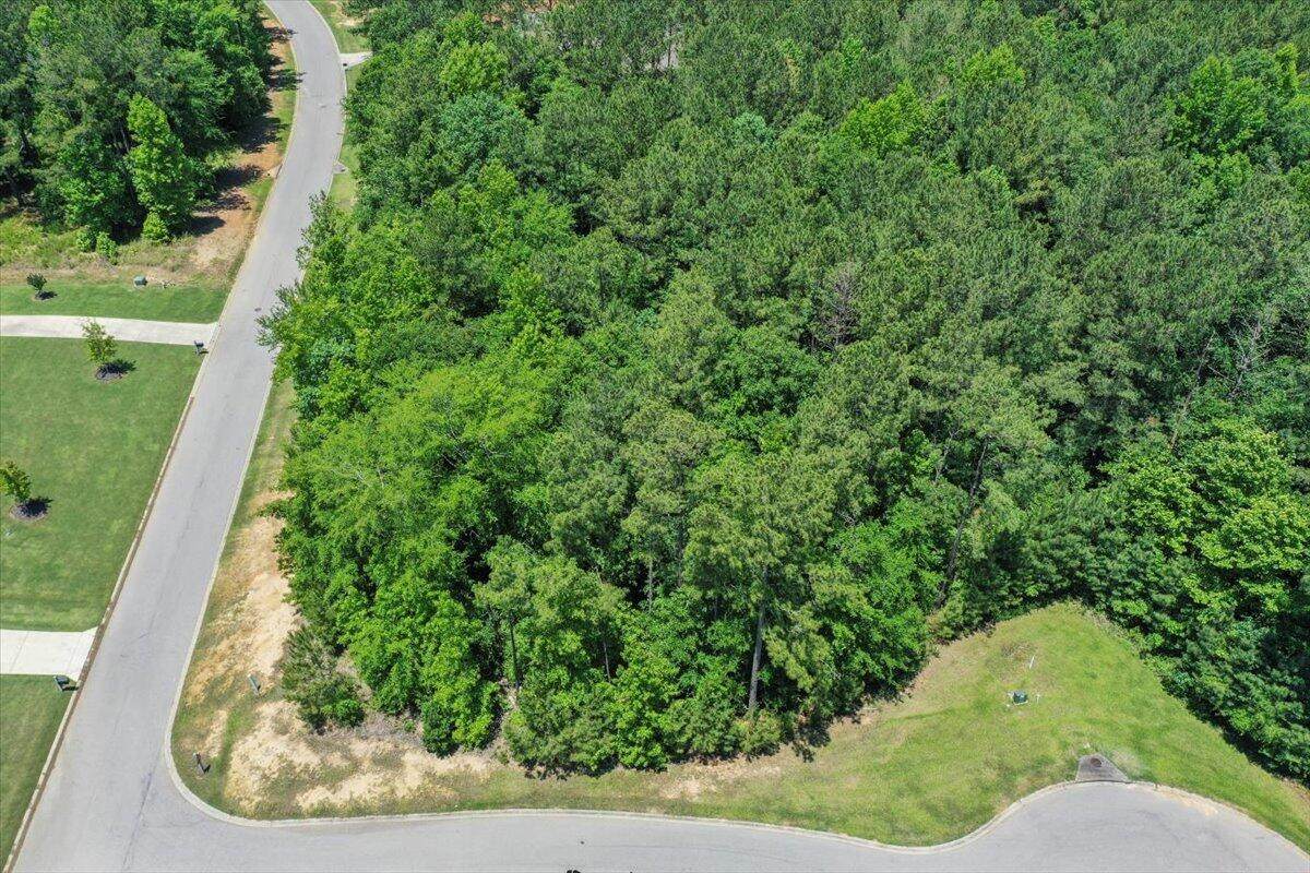Lot P-38 Eutaw Springs Trail - Photo 1