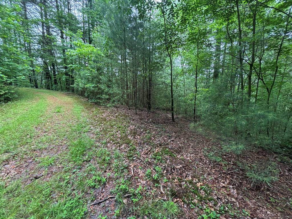 Lot 11 Horse Camp Drive - Photo 1