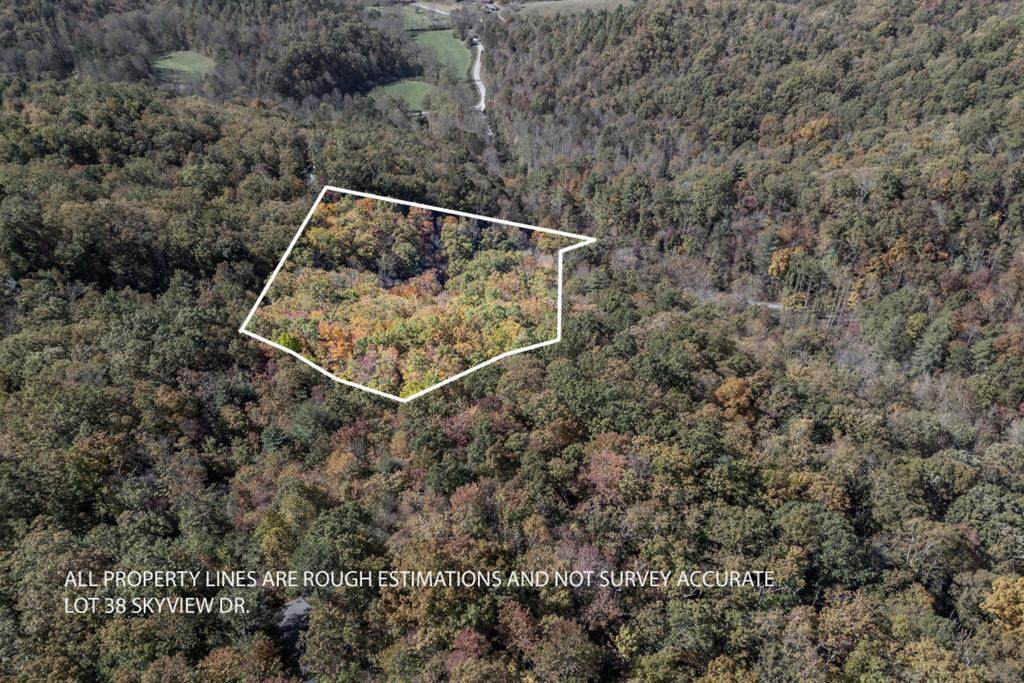 Lot 38 Skyview At Wildlife Acres - Photo 1