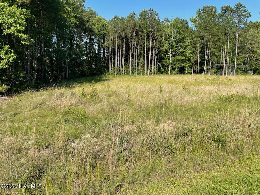 0 Fennell Town Road - Photo 1