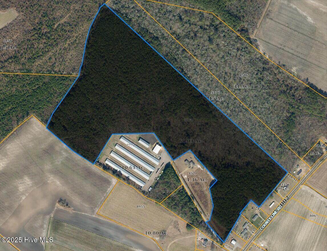 407 D County Line Road - Photo 1