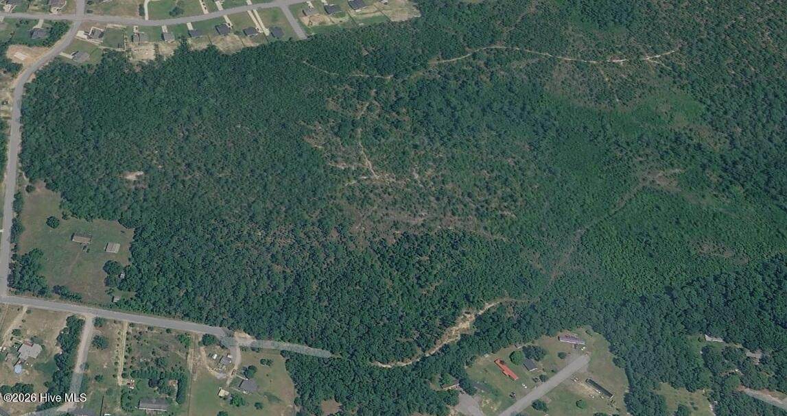 000 Tom Myers Road - Photo 1