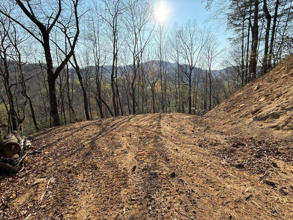 Lot 5 Huffman Creek Road - Photo 1