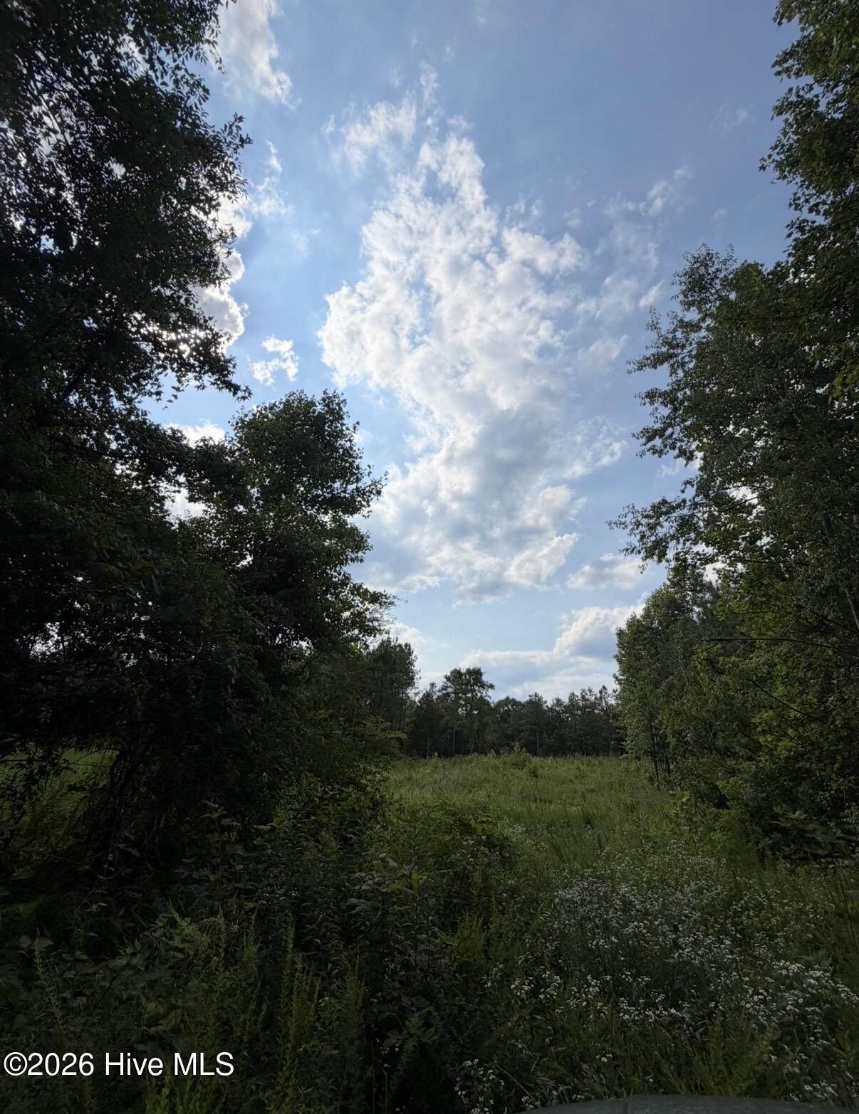 https://bt-photos.global.ssl.fastly.net/ncreg/orig_boomver_1_40f7217776a0225c37c35e5bf2ad3e55-2.jpg