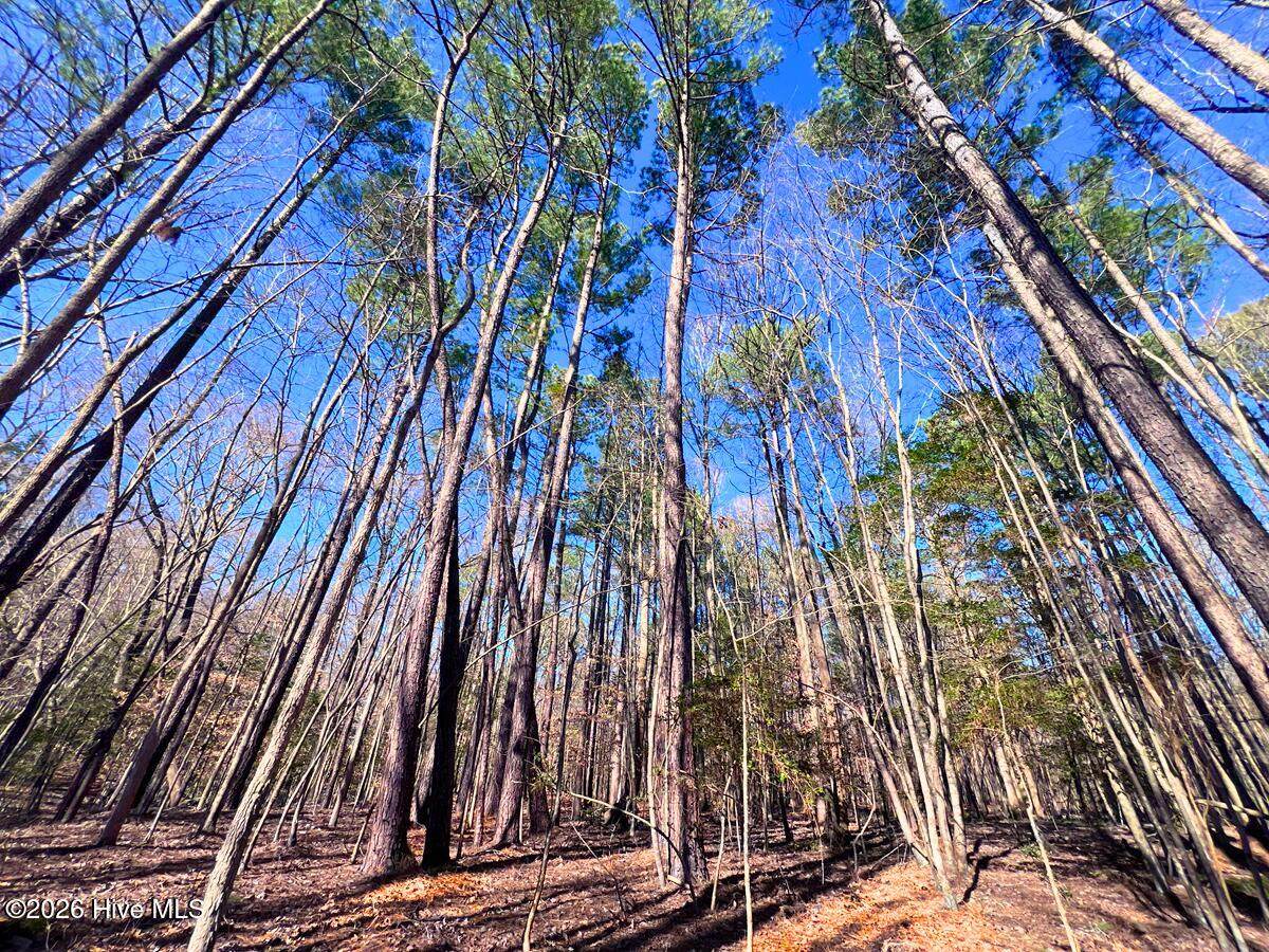 0 Nc 98 Highway - Photo 1