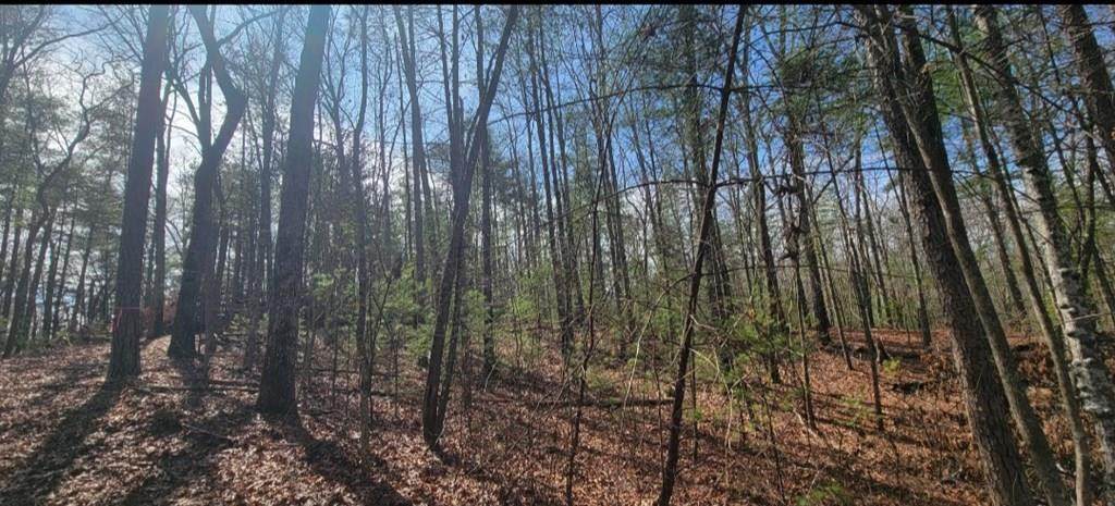 00 Headwaters Drive - Photo 1