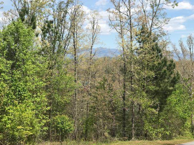 Lot 29 Brasstown View Road - Photo 1