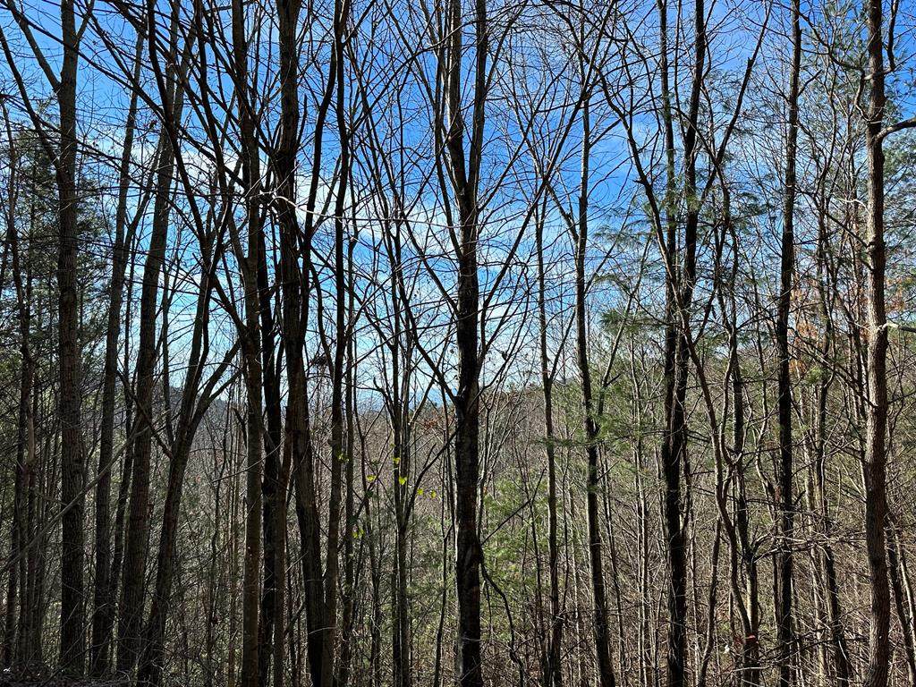 5 lots Ali Drive - Photo 1