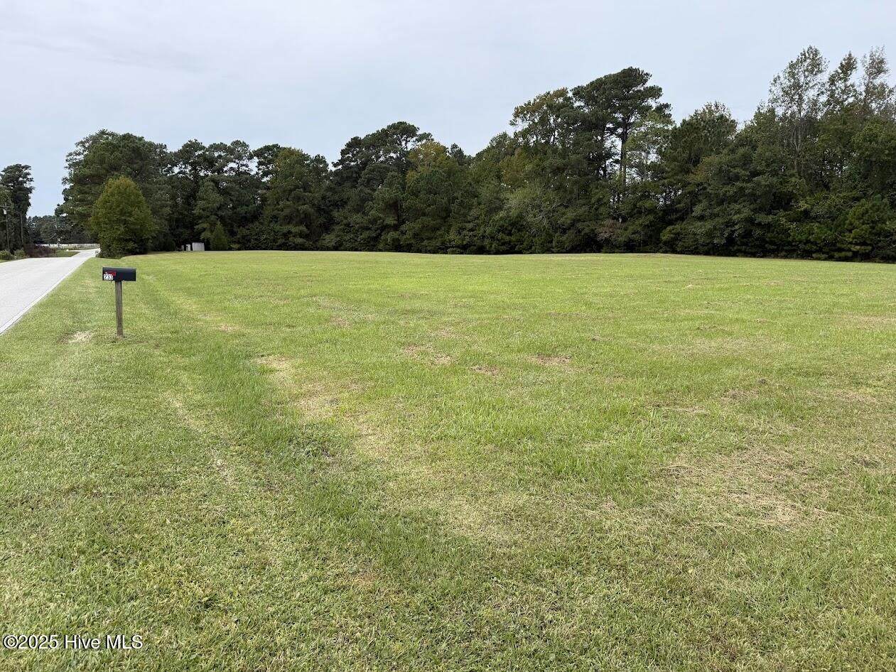 252 West Firetower Rd Road - Photo 1