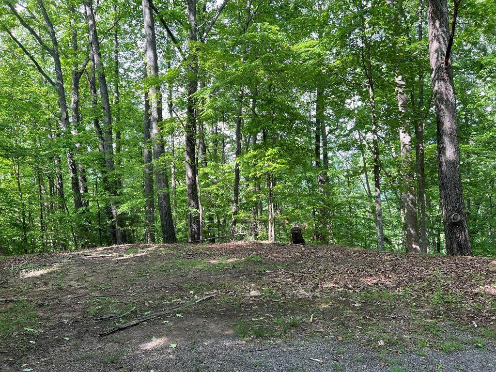 Lot 26 Longview Ridge - Photo 1