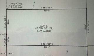 Lot A Aberdeen Road - Photo 1