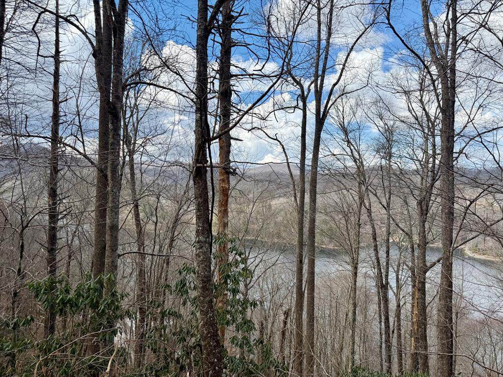 Lot# 38 Nantahala Shores Road - Photo 1