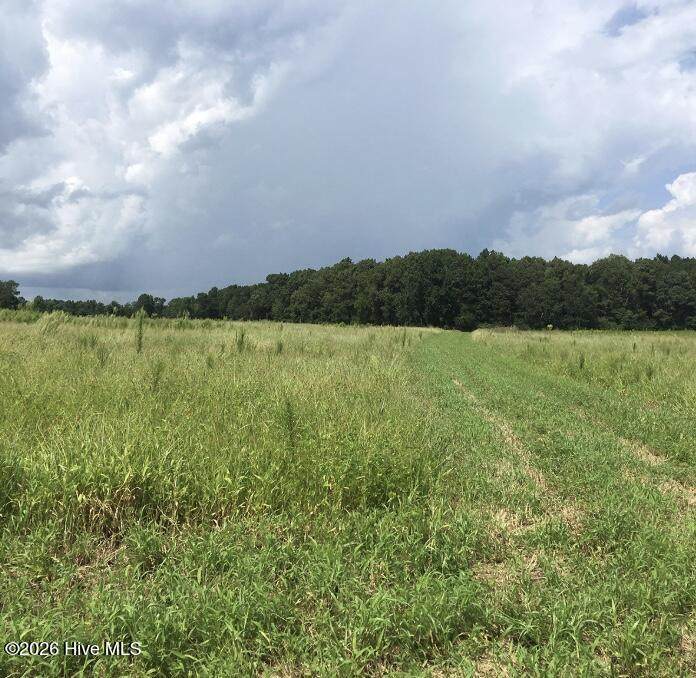 30.42 Ac Atlantic Breeze Drive - Photo 1