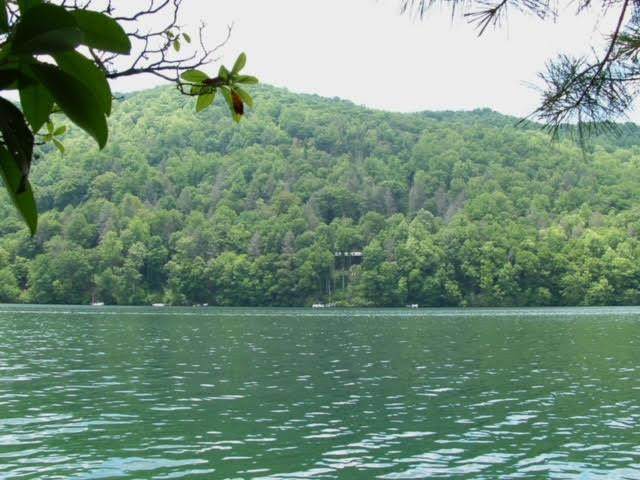 lot 41 Indian Lake Drive - Photo 1