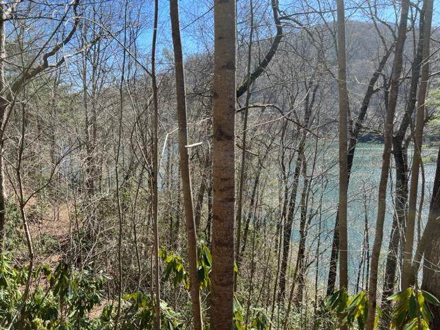 https://bt-photos.global.ssl.fastly.net/ncreg/orig_boomver_1_46658f939805a0792bb17022aa94f309-2.jpg