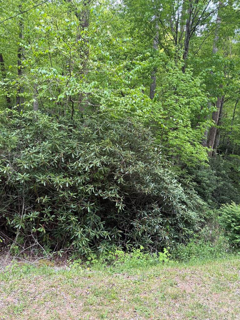 https://bt-photos.global.ssl.fastly.net/ncreg/orig_boomver_1_476514cf8d0c6c212b19e5a5cf66ba0e-2.jpg