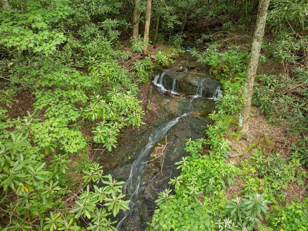 00 Walnut Cove Branch - Photo 1