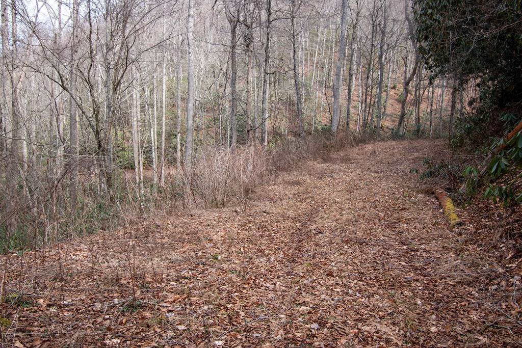 https://bt-photos.global.ssl.fastly.net/ncreg/orig_boomver_1_479df4eecca0a9283f4e24e89f363013-2.jpg