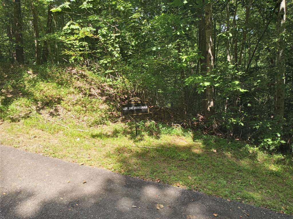 38C Ashe Branch Circle - Photo 1