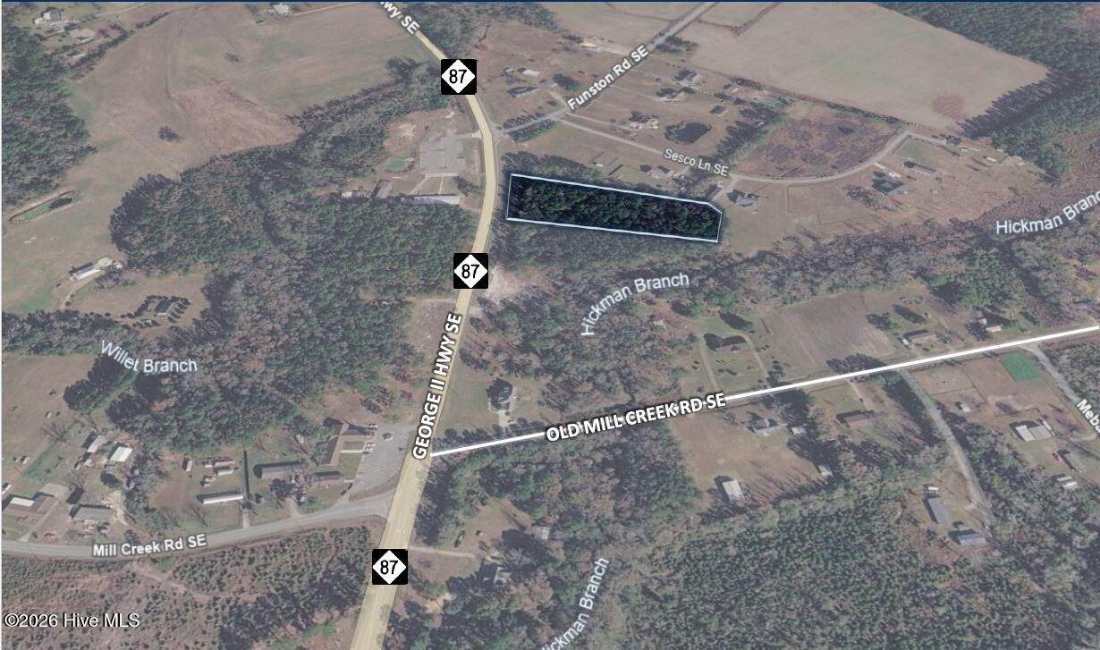 1032 George Ii Highway - Photo 1