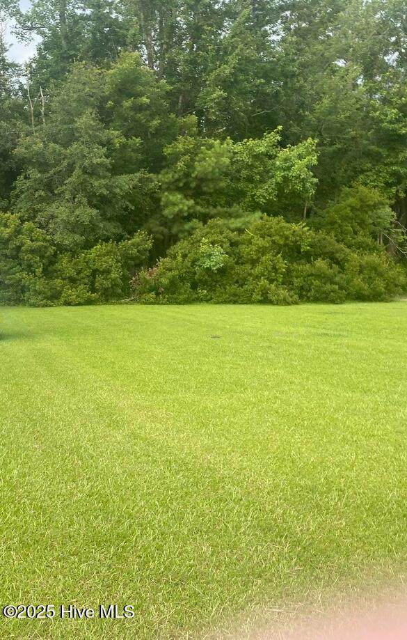 Near 702 Conway Road - Photo 1