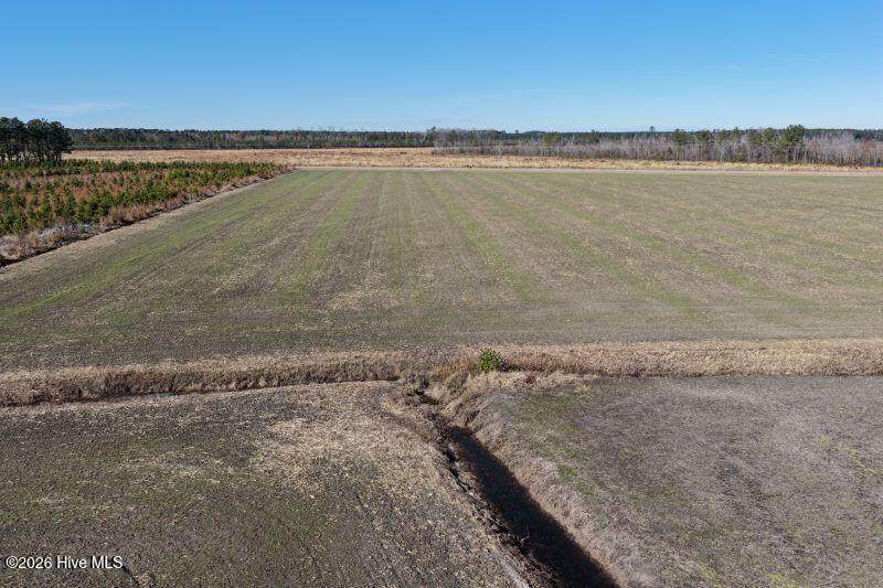 2020 Carolina 903 - Photo 1