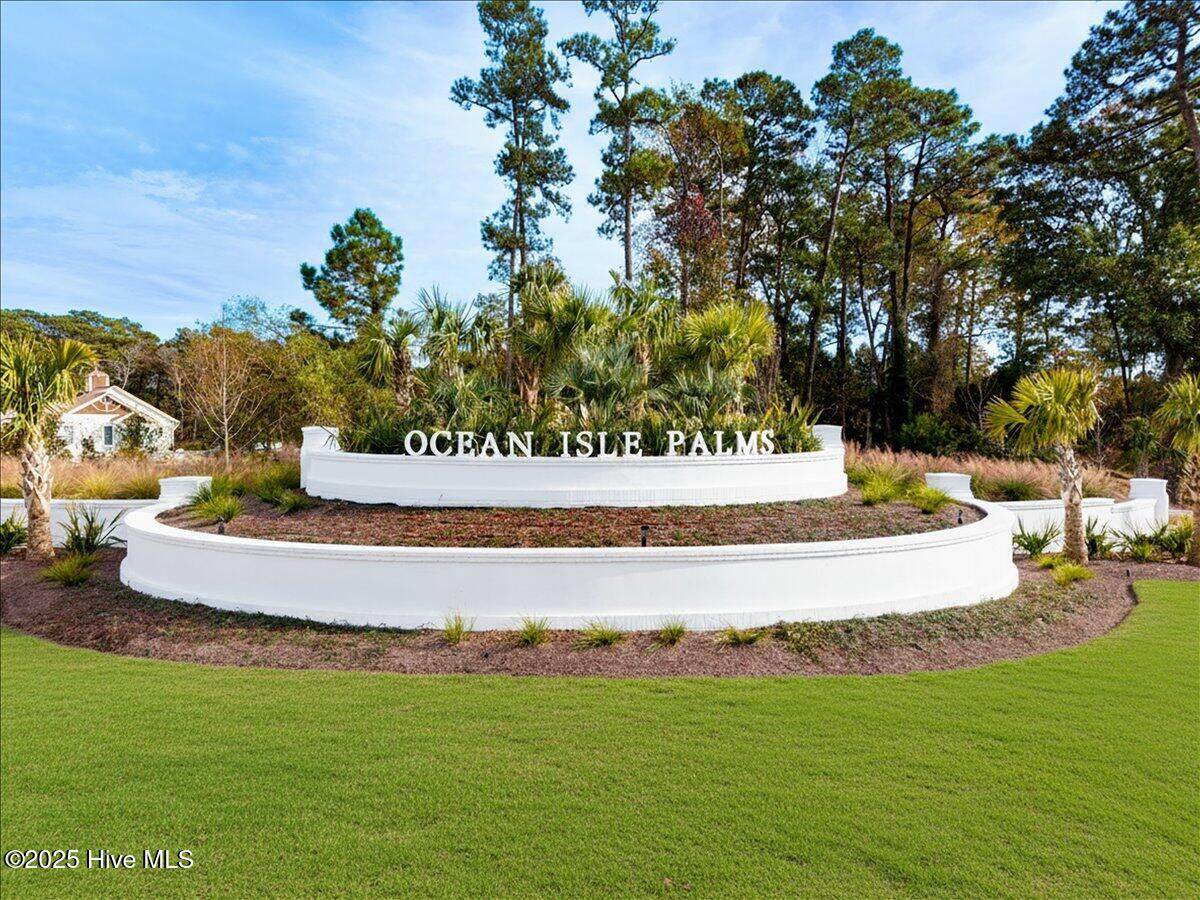 6073 Martinique Street - Photo 1