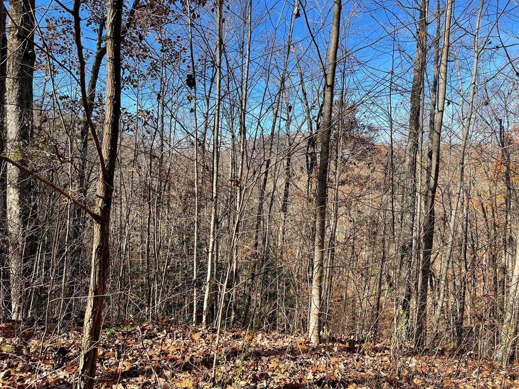 Lot 49J Indian Trail - Photo 1