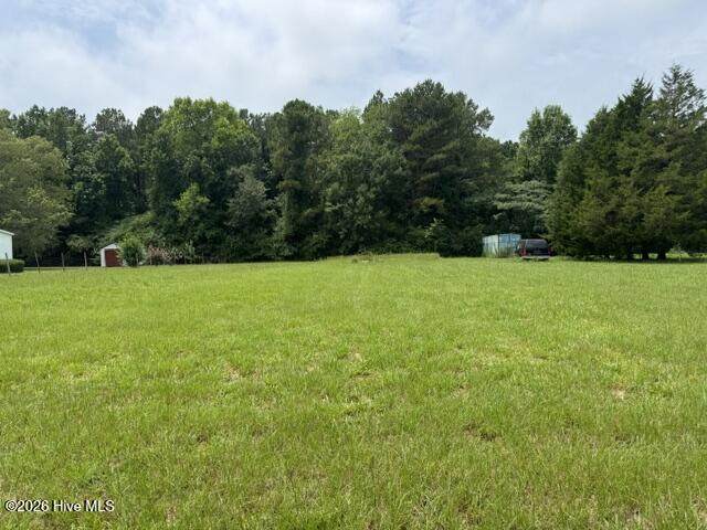 0 Shady Lane Road - Photo 1