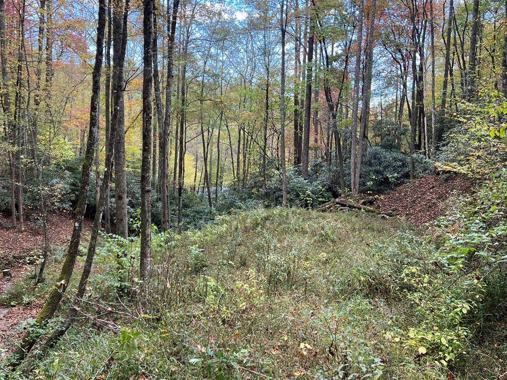 Lot 17 Black Bear Trail - Photo 1