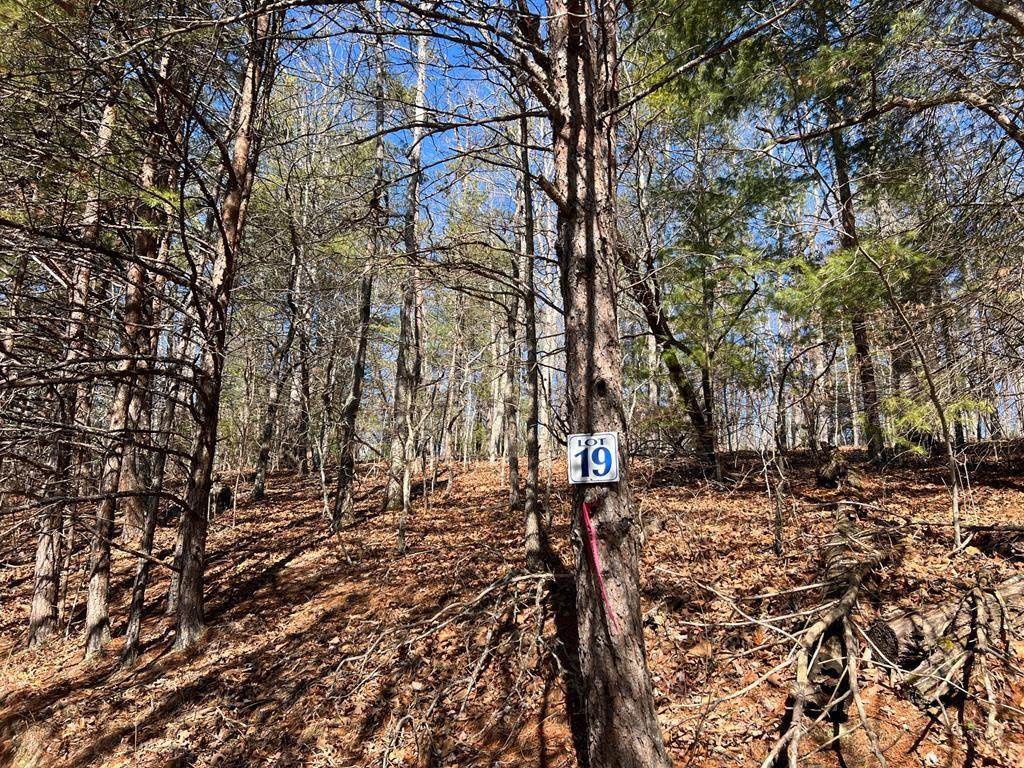 Lot 19 Mission Ridge - Photo 1