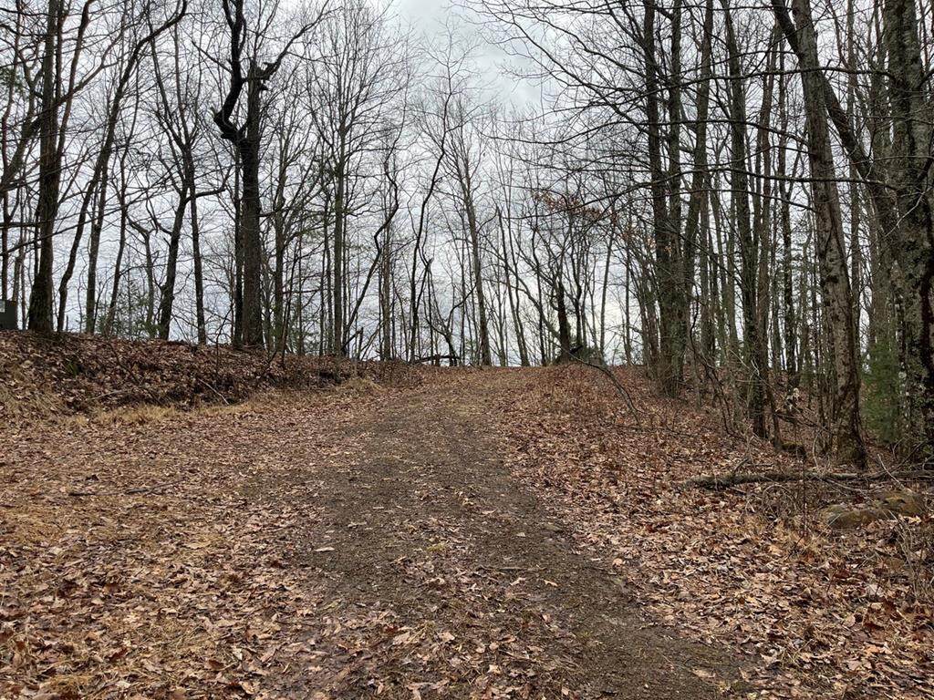 19 Lots Crockett - Photo 1