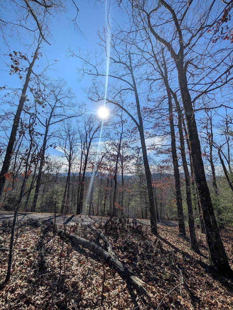 LOT 31 Tower Falls Lane - Photo 1