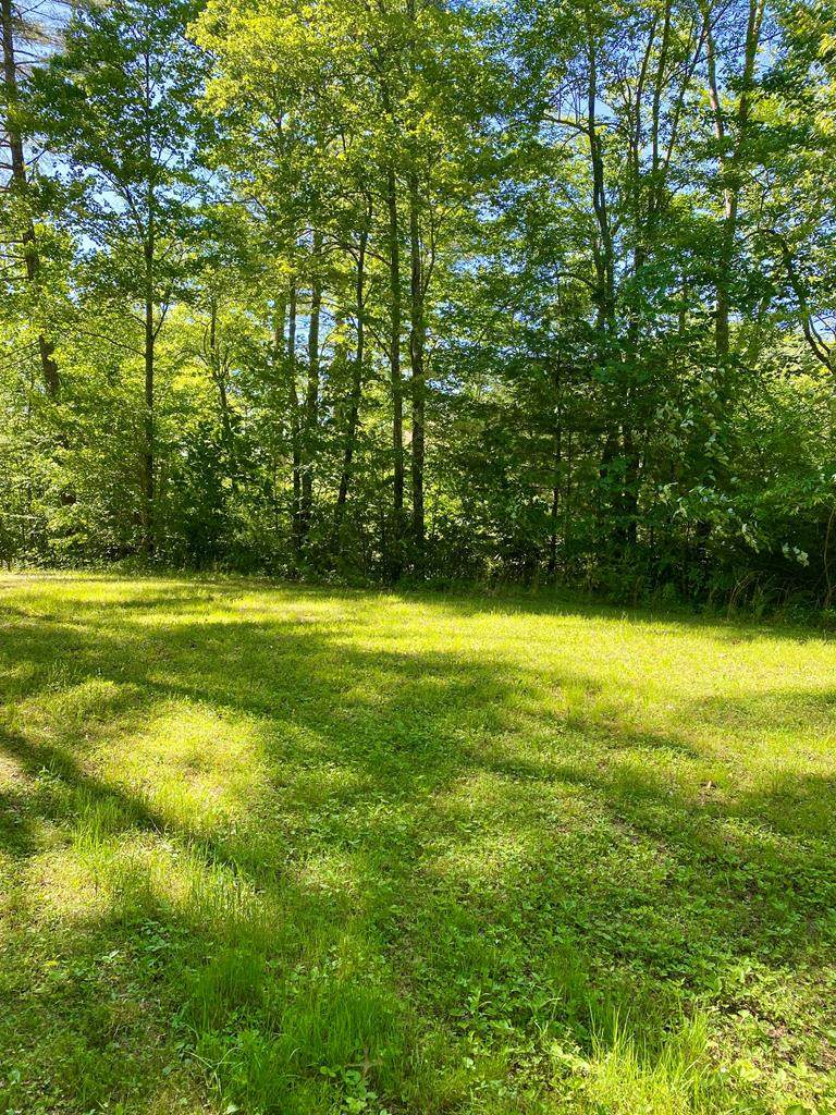 00 Deer Run - Photo 1
