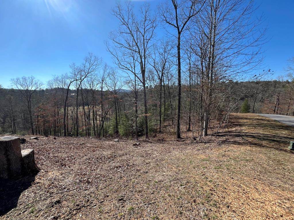 17 Fish Hawk Ridge - Photo 1