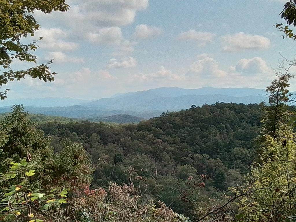 End of Tanglewood Ridge - Photo 1