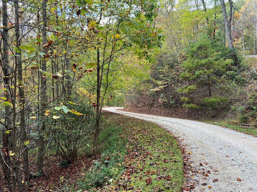 Lot 18 Black Bear Trail - Photo 1