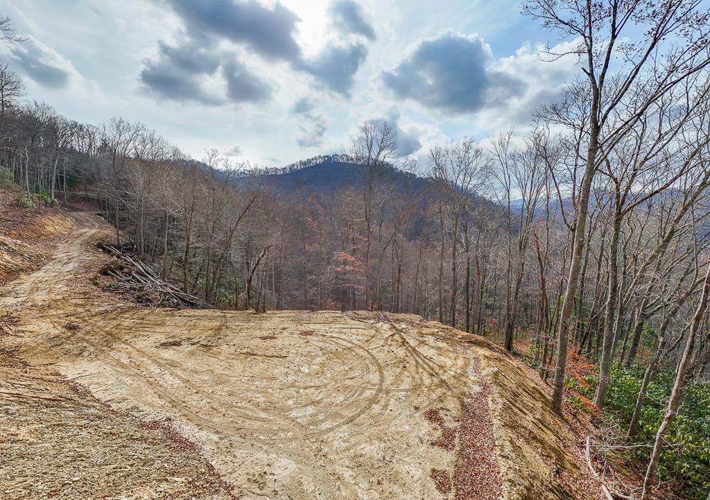 Lot 20 Walnut Cove Branch - Photo 1