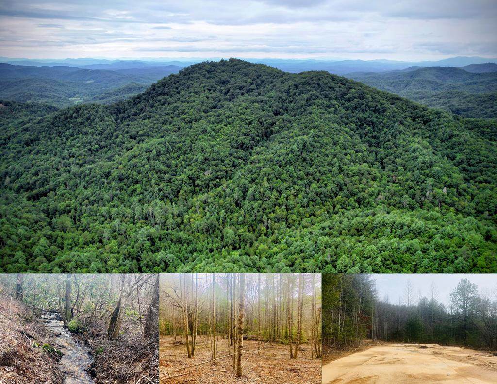 0 Flea Mountain Road - Photo 1