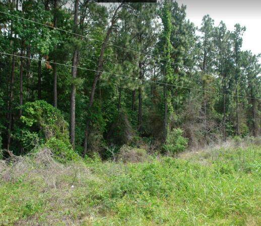 2221 Gordon Highway - Photo 1