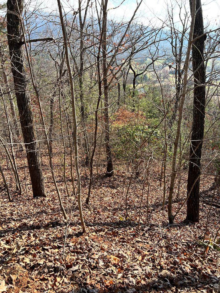 Lot 56C Indian Trail - Photo 1