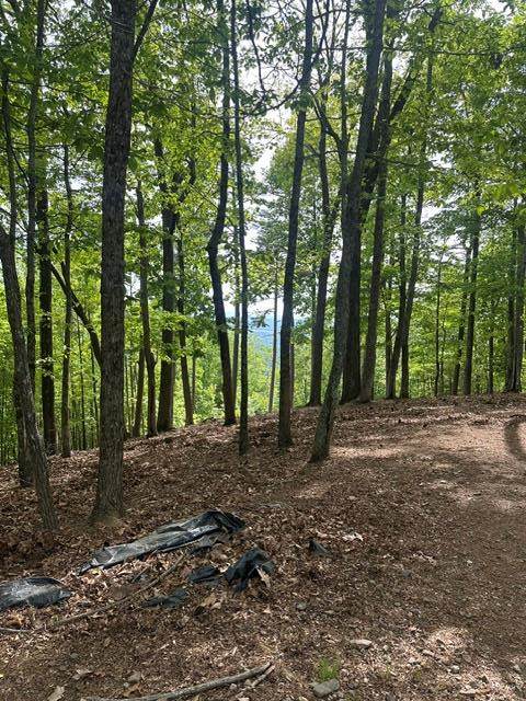 Lot 4 Hampton Knob - Photo 1