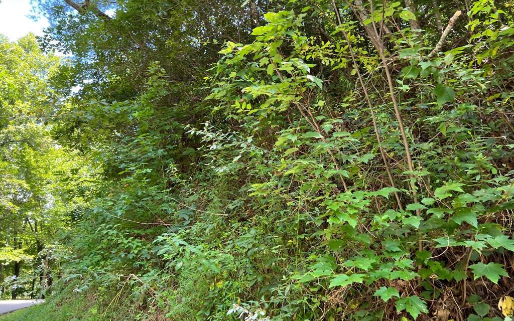 https://bt-photos.global.ssl.fastly.net/ncreg/orig_boomver_1_56f0ab6d7e9402a83a6169728fea71d5-2.jpg