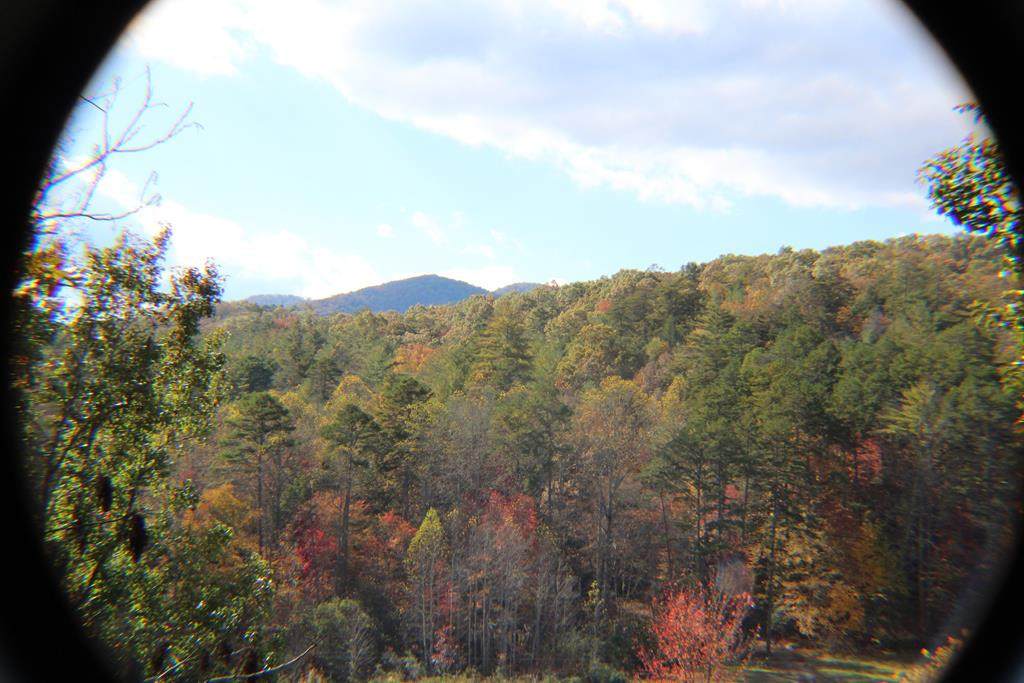 Lot 17 Old Taylors Ferry Ridge - Photo 1
