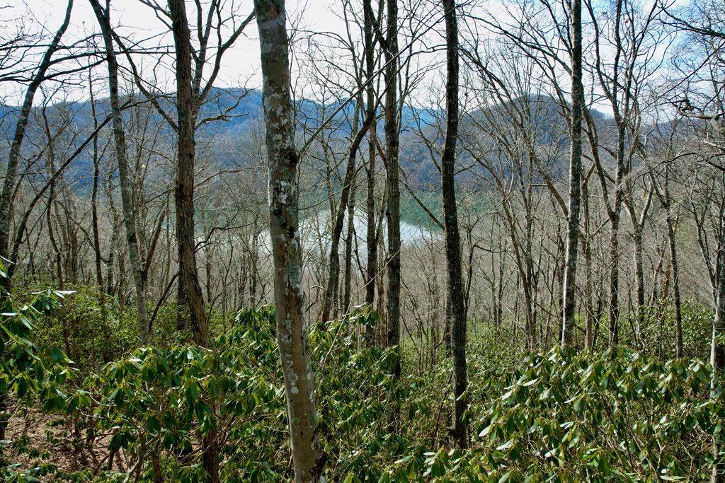 TBD Zimmerman / Holly Ridge Road - Photo 1