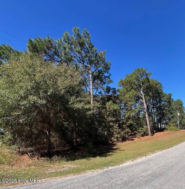 Tbd Cloud Avenue - Photo 1