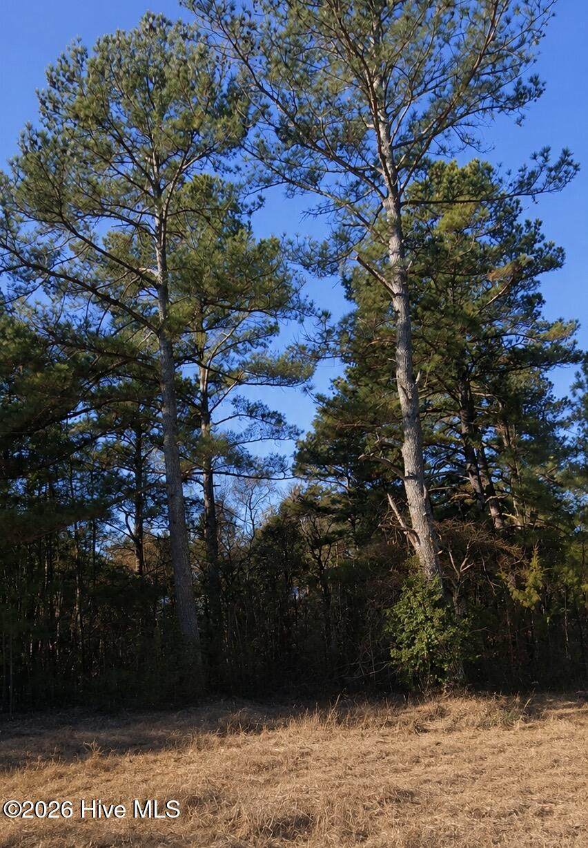 000 Roanoke Chapel Road - Photo 1