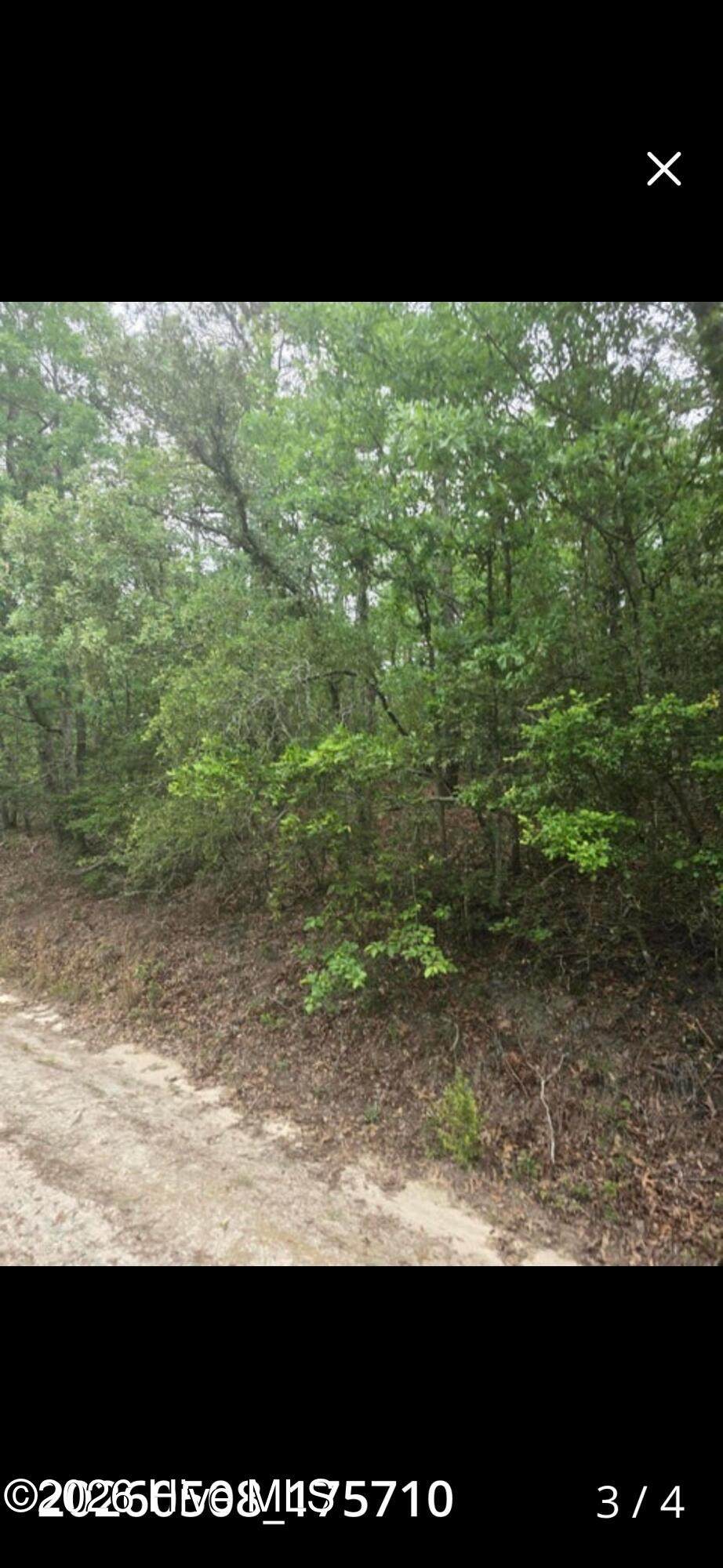 00 Leonard Lane - Photo 1